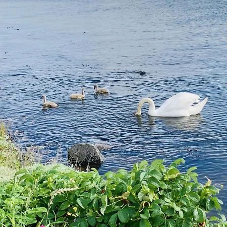 Sternkieker Kappeln